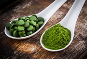 Chlorella řasa